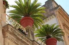 215-Lecce,26 aprile 2013